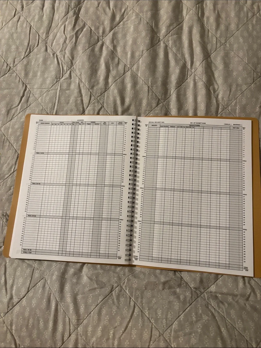 Simplified Monthly Bookkeeping Record - Mustard Yellow